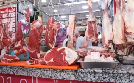 أسعار اللحوم الحمراء والبصل تواصل الارتفاع بالمغرب وتلهب جيوب المواطنين