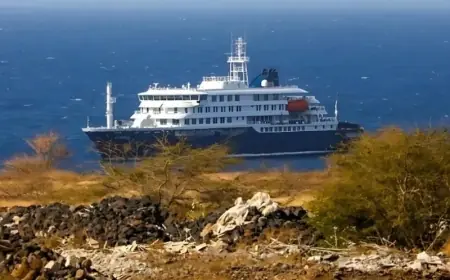 Hantavirus : l’OMS confirme des infections et des morts après une flambée sur un bateau de croisière