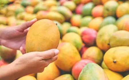 ارتفاع واردات المغرب من المانغو والغوافة بنسبة 40 في المائة خلال سنة 2025