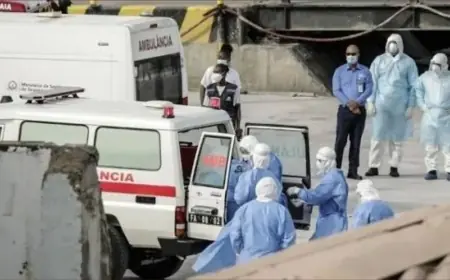 تشيلي تعلن حالة الطوارئ بعد ارتفاع وفيات فيروس هانتا إلى 13 شخصاً