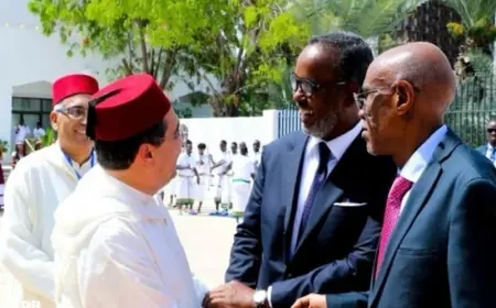 بوريطة يمثل الملك محمد السادس في مراسيم تنصيب رئيس جيبوتي
