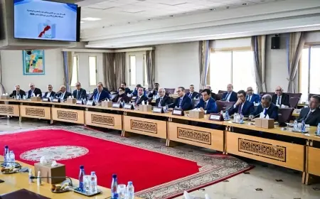 وزير الداخلية يعقد اجتماعا جديدا مع زعماء الأحزاب السياسية استعدادا للانتخابات التشريعية المقبلة