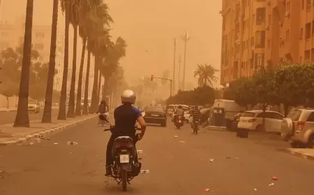 الأرصاد الجوية تحذر من رياح قوية وزوابع رملية في عدة مناطق بالمملكة