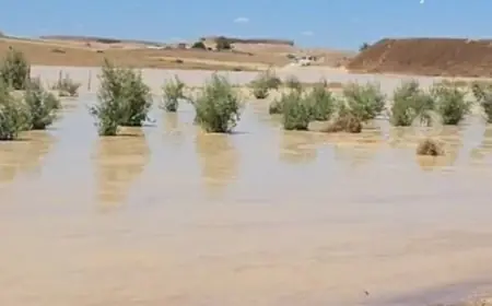انفجار حوضين لغسيل الفوسفاط بخريبكة يجر انتقادات واسعة على ”OCP” بعد نفوق مواشٍ وإتلاف محاصيل الفلاحين