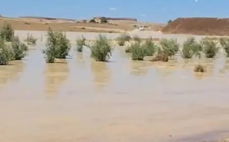 Khouribga : l’explosion de deux bassins de lavage du phosphate provoque une catastrophe agricole et environnementale