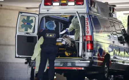 États-Unis : 3 personnes sous surveillance médicale pour suspicion de virus Hanta après un voyage en croisière