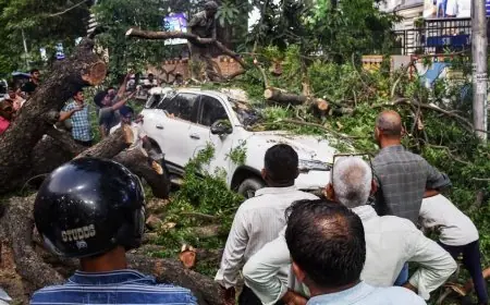 مصرع نحو 90 شخصا جراء عاصفة في الهند