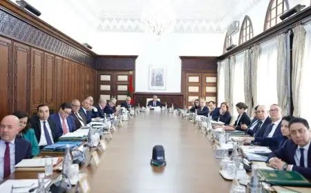مجلس الحكومة يصادق على لائحة من التعيينات الجديدة في المناصب العليا