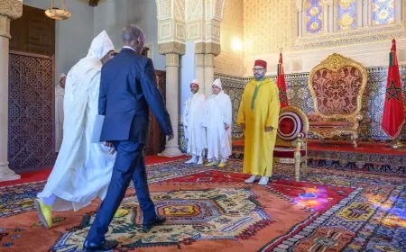 الملك محمد السادس يستقبل بالرباط عدداً من السفراء الأجانب