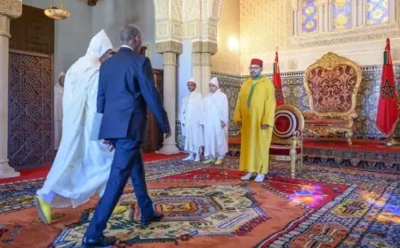 Le Roi Mohammed VI reçoit au Palais Royal de Rabat plusieurs ambassadeurs étrangers