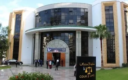 استئنافية طنجة تنهي التحقيق مع 7 متهمين بتهريب سيارات مسروقة فارهة نحو إسبانيا