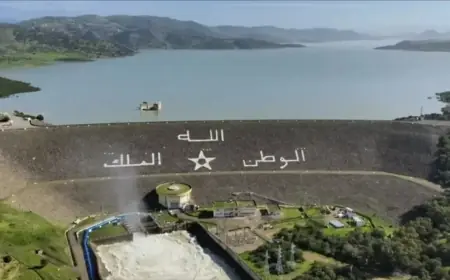 نسبة ملء السدود بالمغرب تصل إلى 76% وتنهي عودة شبح الجفاف