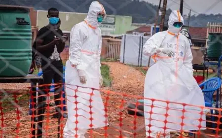 L’OMS déclare l’épidémie d’Ebola en RDC et en Ouganda urgence de santé publique de portée internationale