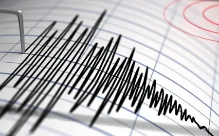 هزة أرضية بقوة 5,4 درجات تضرب الشيلي
