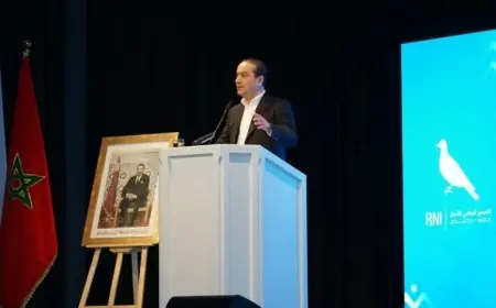 محمد شوكي يدعو مغاربة العالم للمشاركة المكثفة في انتخابات 2026