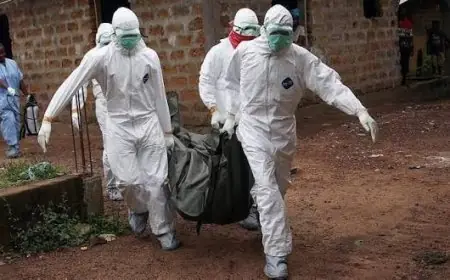 Épidémie d’Ebola : l’OMS déclare l’urgence sanitaire internationale face à la hausse des cas en RDC et en Ouganda