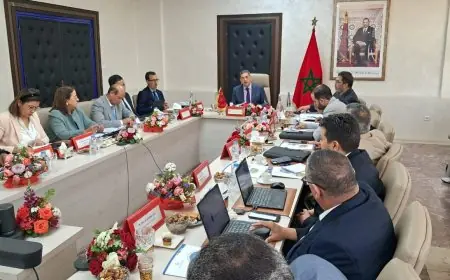 مجلس إدارة الشركة الجهوية متعددة الخدمات سوس ماسة يستعرض حصيلة الأداء وبرنامج العمل