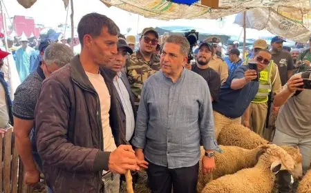 الوالي أمزازي يزور سوق الأضاحي بتيكوين للوقوف على ظروف التنظيم