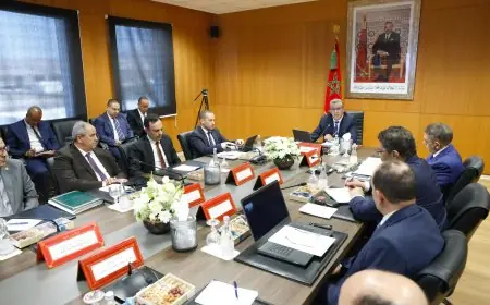 أخنوش يترأس أشغال أول مجلس إدارة للمجموعة الصحية الترابية بجهة سوس-ماسة