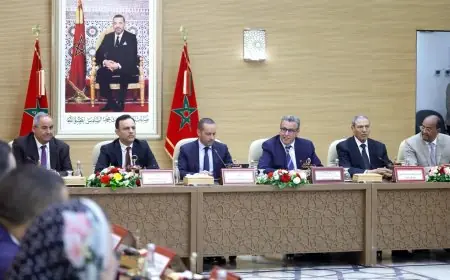 أخنوش يترأس أول مجلس إدارة للمجموعة الصحية الترابية بجهة العيون-الساقية الحمراء