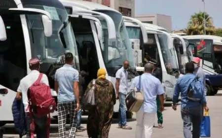 Prix du transport routier en hausse avant l’Aïd al-Adha : explications et revendications du secteur