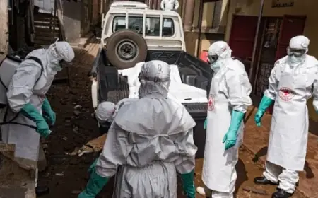 ارتفاع الإصابات المؤكدة إلى 515 حالة وتسجيل 91 وفاة بإيبولا في الكونغو الديمقراطية