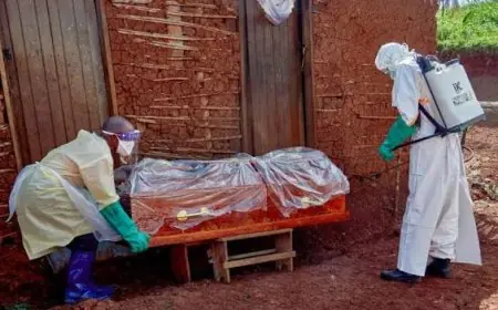 Épidémie d’Ebola souche Bundibugyo : 137 cas confirmés en RDC et en Ouganda depuis le 15 mai