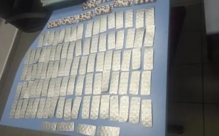 إحباط محاولة تهريب 1571 قرصا مخدرا بميناء طنجة المتوسط