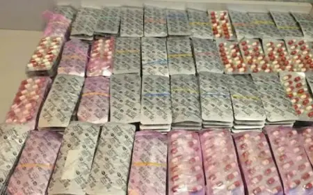 ميناء طنجة المتوسط.. إحباط محاولة تهريب أكثر من 1500 قرص مخدر قادم من أوروبا