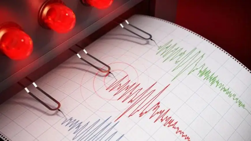 زلزال بقوة 5.1 درجة يضرب سواحل نيوزيلندا