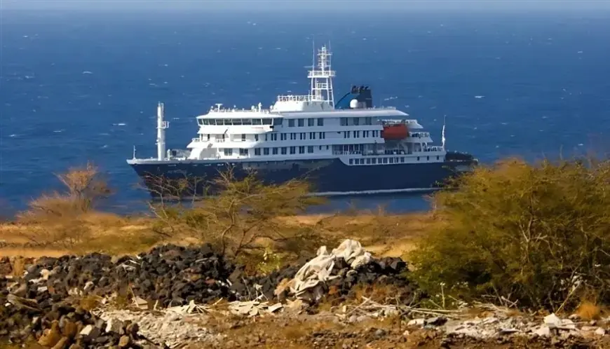 Hantavirus : l’OMS confirme des infections et des morts après une flambée sur un bateau de croisière