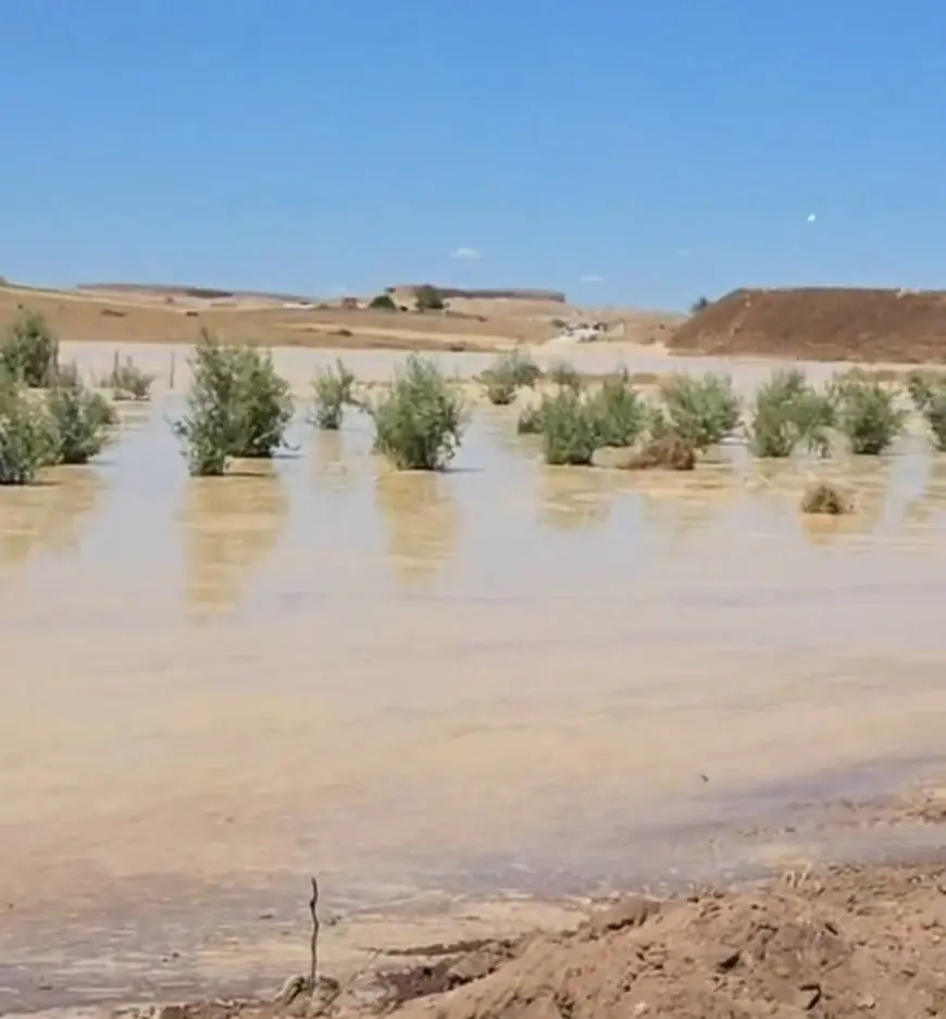 انفجار حوضين لغسيل الفوسفاط بخريبكة يجر انتقادات واسعة على ”OCP” بعد نفوق مواشٍ وإتلاف محاصيل الفلاحين