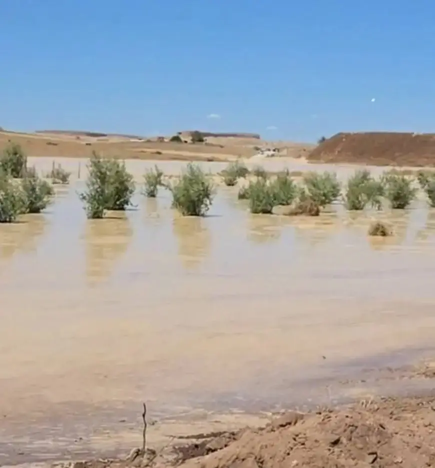 Khouribga : l’explosion de deux bassins de lavage du phosphate provoque une catastrophe agricole et environnementale