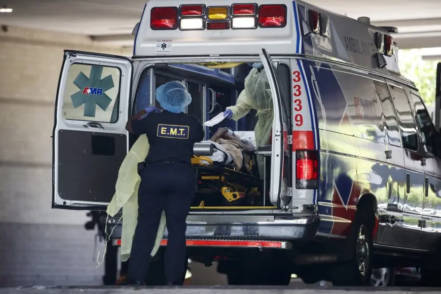 États-Unis : 3 personnes sous surveillance médicale pour suspicion de virus Hanta après un voyage en croisière