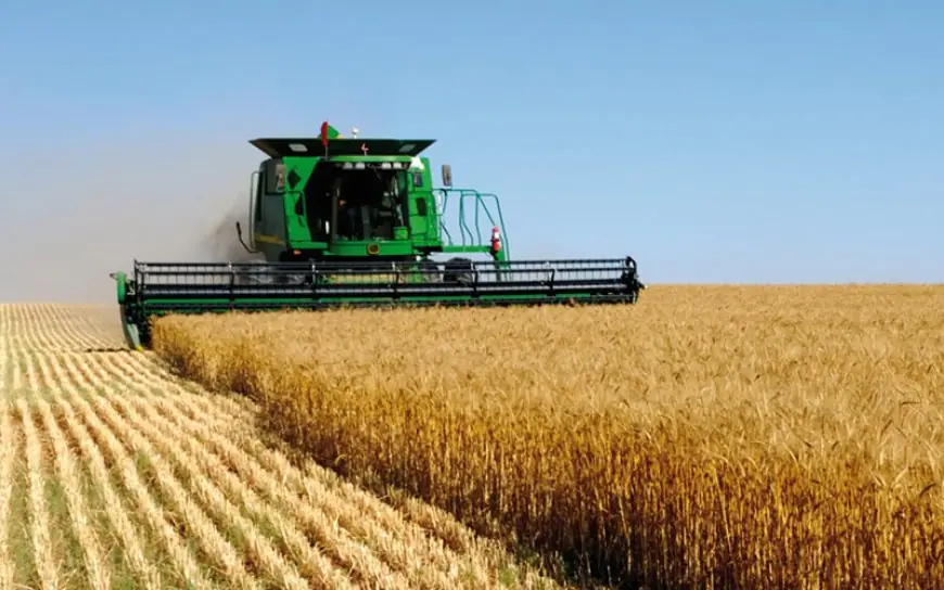 Croissance du Maroc en 2026 : les experts jugent l’objectif de 5,3% crédible grâce à la bonne campagne agricole