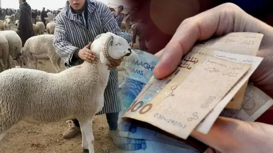 يهم القيمين الدينيين بالمغرب.. صرف دعم مالي بقيمة 500 درهم بمناسبة عيد الأضحى