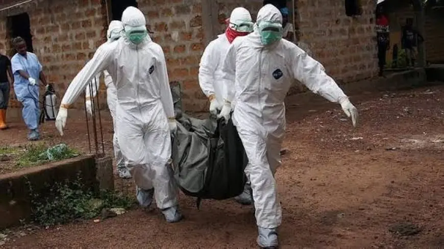 Épidémie d’Ebola : l’OMS déclare l’urgence sanitaire internationale face à la hausse des cas en RDC et en Ouganda