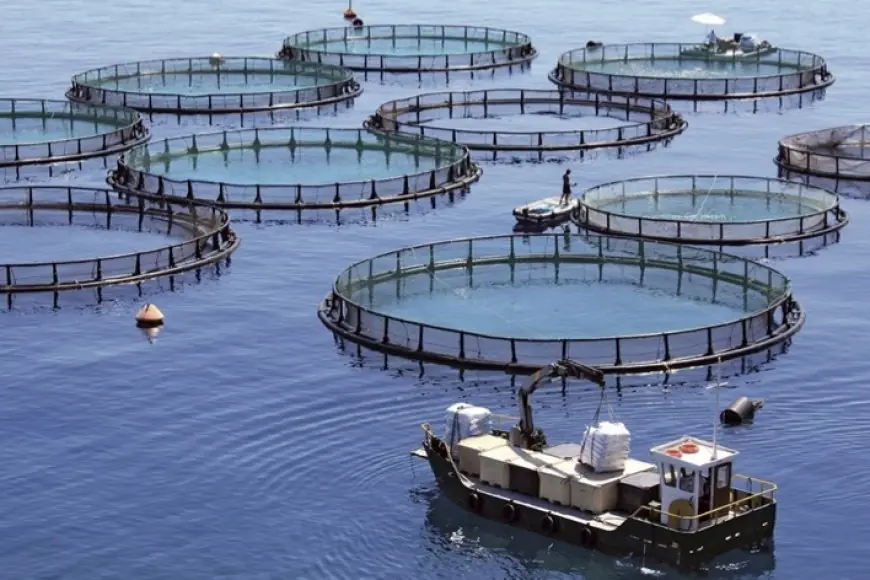 Le gouvernement accélère le développement de l’aquaculture dans plusieurs régions du Maroc