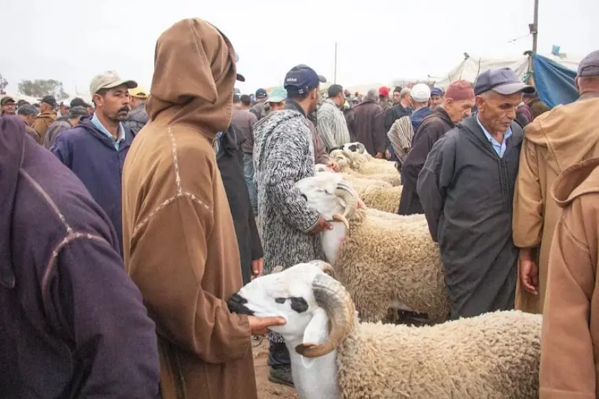 Protection du consommateur : les associations se mobilisent pour vérifier l’application des décisions de l’Aïd Al Adha