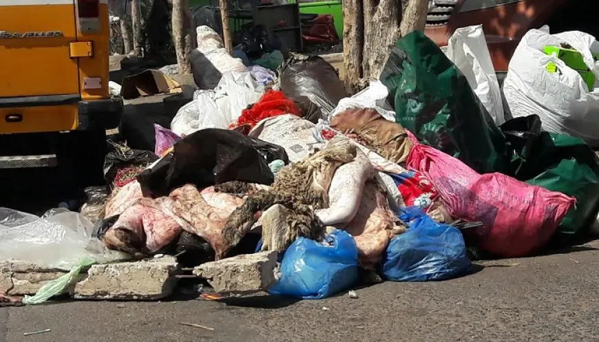 الدار البيضاء تعلن تعبئة استثنائية لتنظيف المدينة خلال عيد الأضحى