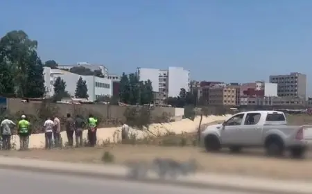 سلطات طنجة تنفي تسجيل إصابات بفيروس ”هانتا” في كزناية