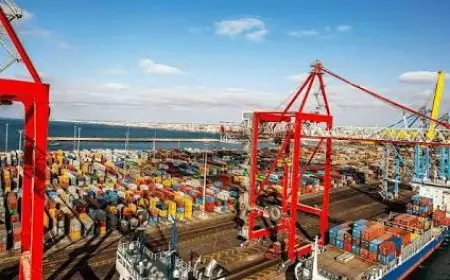 Classement OMC 2025: Le Maroc fait un bond historique et prend l’avantage sur l’Algérie