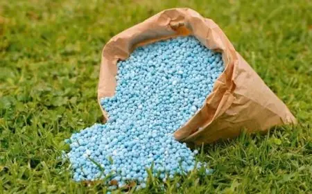 Phosphates et partenariats: Comment le Maroc s’impose dans l’agriculture latino-américaine ?
