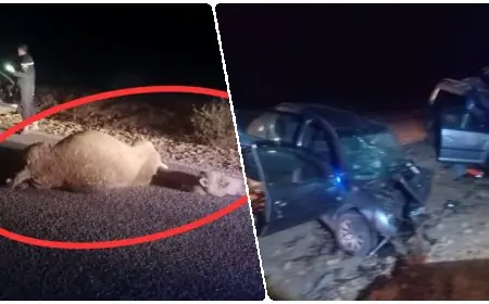 3 وفيات في حادث سير مأساوي بإقليم زاكورة بعد اصطدام سيارتين بقطيع جمال