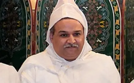 من هو ندير المومني الذي عينه الملك محمد السادس عضوا جديدا بالمجلس الأعلى للسلطة القضائية؟