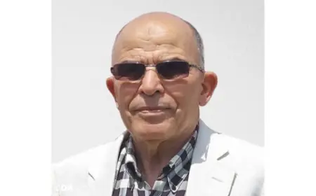 من هو أحمدو الباز العضو الجديد بالمحكمة الدستورية؟