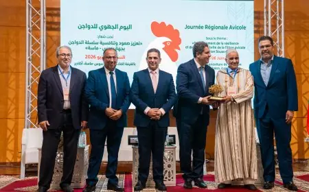 والي جهة سوس ماسة يترأس لقاء جهويا حول تعزيز تنافسية قطاع الدواجن بأكادير