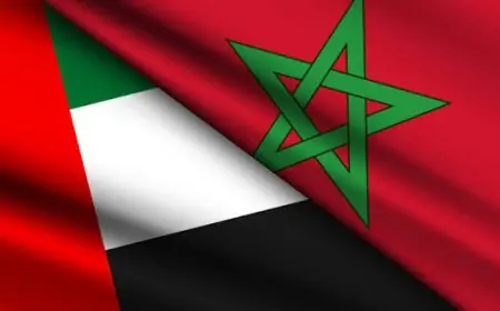 Vienne: Le Maroc condamne fermement l’attaque contre la centrale nucléaire de Barakah aux Émirats