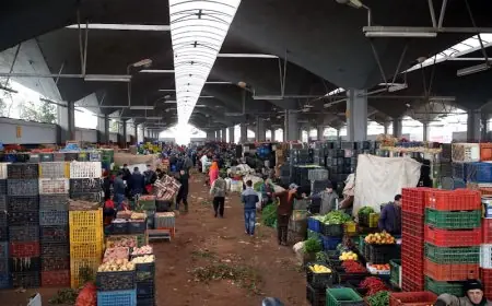 محكمة جرائم الأموال بمراكش تصدر أحكامها في ملف سوق الجملة للخضر والفواكه
