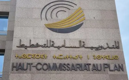 النمو الاقتصادي الوطني يسجل تحسنا بلغ 4,9 في المائة سنة 2026